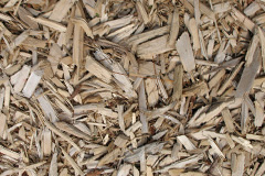 biomass boilers Molinnis
